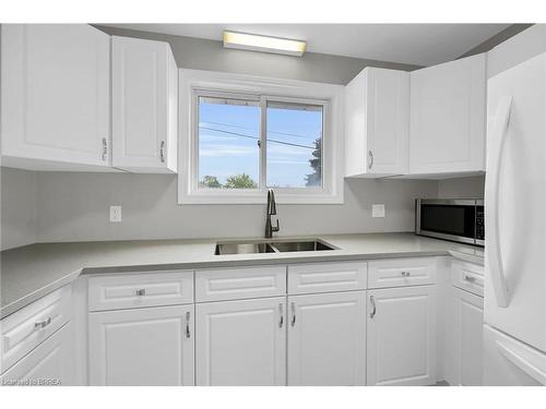 12 Hill Avenue, Brantford, ON - Indoor Photo Showing Kitchen With Double Sink