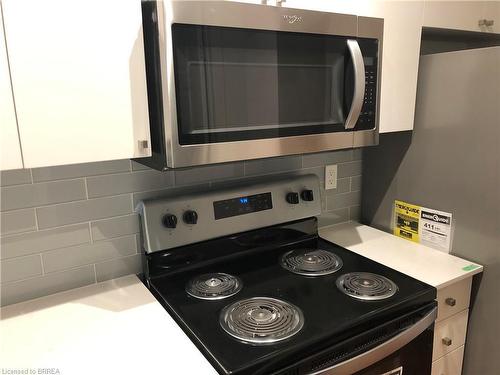 402-1 Wellington Street, Brantford, ON - Indoor Photo Showing Kitchen