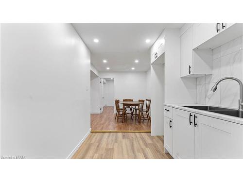 Lower-203 Brantwood Park Road, Brantford, ON - Indoor Photo Showing Kitchen With Double Sink