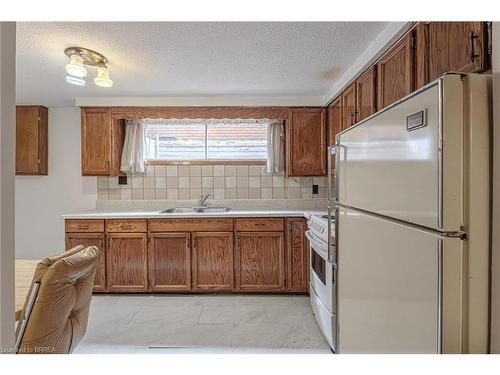 195 Paris Road, Brantford, ON - Indoor Photo Showing Kitchen With Double Sink