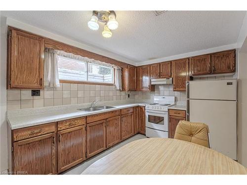 195 Paris Road, Brantford, ON - Indoor Photo Showing Kitchen With Double Sink