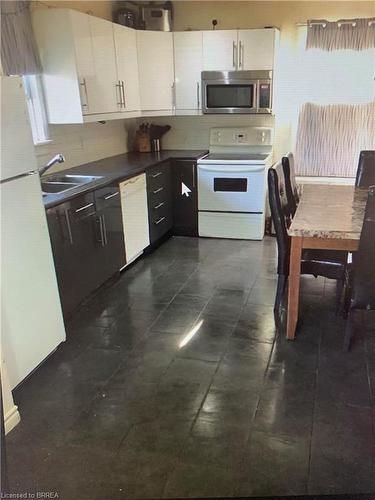 32 Dundas Street E, Brantford, ON - Indoor Photo Showing Kitchen With Double Sink