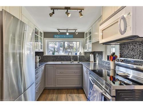 9 Alma Street, Brantford, ON - Indoor Photo Showing Kitchen With Double Sink With Upgraded Kitchen