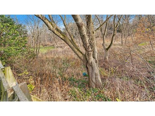 15 D'Aubigny Road, Brantford, ON - Outdoor With View