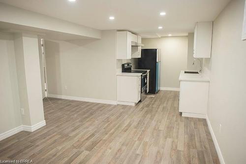 Lower-225 Chatham Street, Brantford, ON - Indoor Photo Showing Kitchen