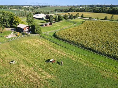 14 Biggars Lane, Mount Pleasant, ON 