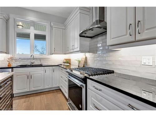 193 King Edward Street, Paris, ON - Indoor Photo Showing Kitchen With Upgraded Kitchen