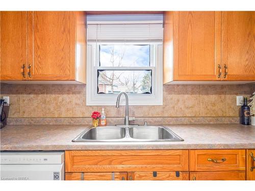 99 Superior Street, Brantford, ON - Indoor Photo Showing Kitchen With Double Sink