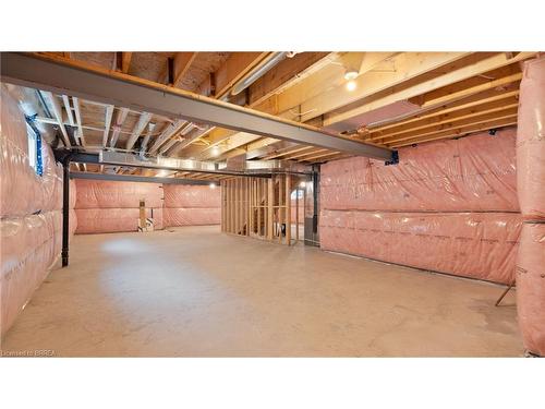 45 Vanrooy Trail, Waterford, ON - Indoor Photo Showing Basement