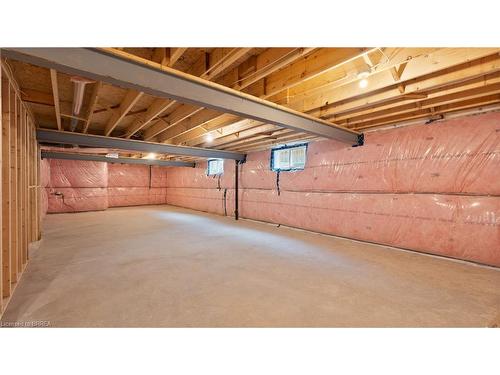 45 Vanrooy Trail, Waterford, ON - Indoor Photo Showing Basement