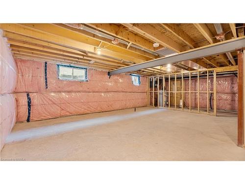 45 Vanrooy Trail, Waterford, ON - Indoor Photo Showing Basement