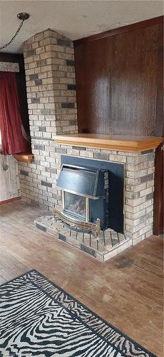 17 Forest Road, Brantford, ON - Indoor With Fireplace