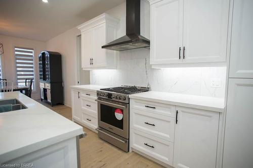 14 Bowen Place, Oakland, ON - Indoor Photo Showing Kitchen With Double Sink With Upgraded Kitchen