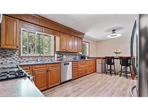 12 Campbell Farm Road, Brantford, ON - Indoor Photo Showing Kitchen With Double Sink