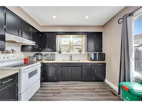 216 Brock Street, Brantford, ON - Indoor Photo Showing Kitchen With Double Sink