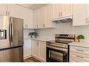 167-677 Park Road N, Brantford, ON  - Indoor Photo Showing Kitchen 