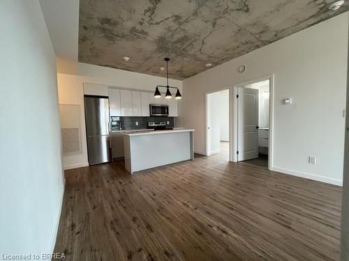 810-7 Erie Avenue, Brantford, ON - Indoor Photo Showing Kitchen