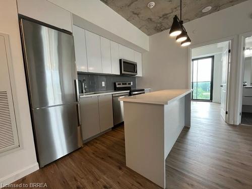 810-7 Erie Avenue, Brantford, ON - Indoor Photo Showing Kitchen