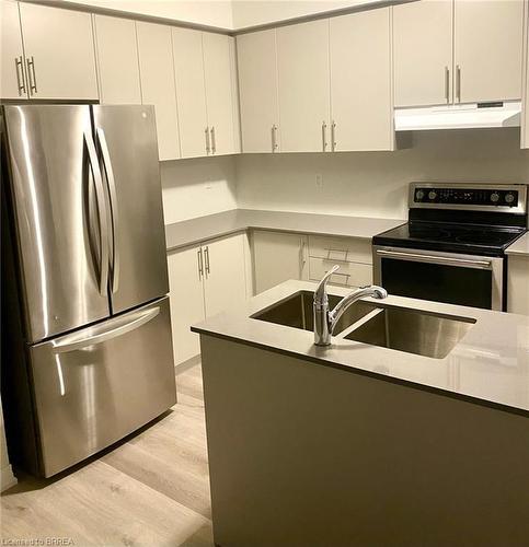 49-155 Equestrian Way, Cambridge, ON - Indoor Photo Showing Kitchen With Double Sink