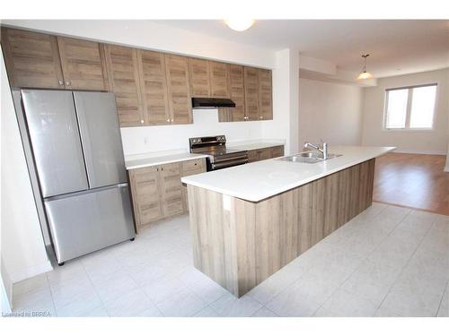 25 Baskett Street, Brantford, ON - Indoor Photo Showing Kitchen With Double Sink