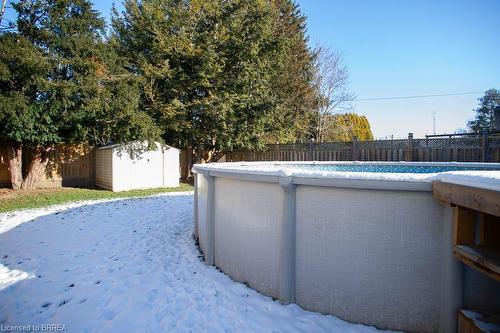 432 Nelson Street, Brantford, ON - Outdoor With Above Ground Pool