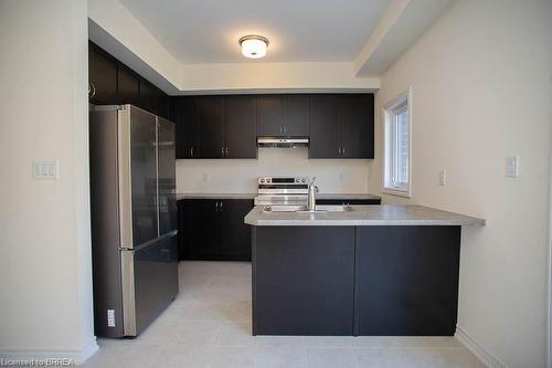 19-620 Colborne Street W, Brantford, ON - Indoor Photo Showing Kitchen With Double Sink