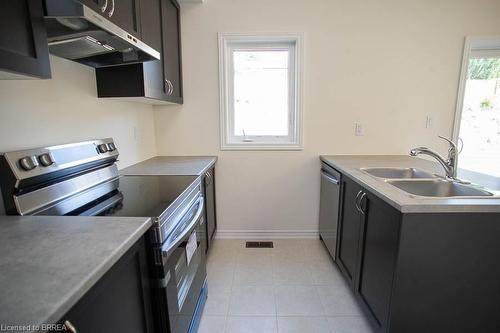 19-620 Colborne Street W, Brantford, ON - Indoor Photo Showing Kitchen With Double Sink