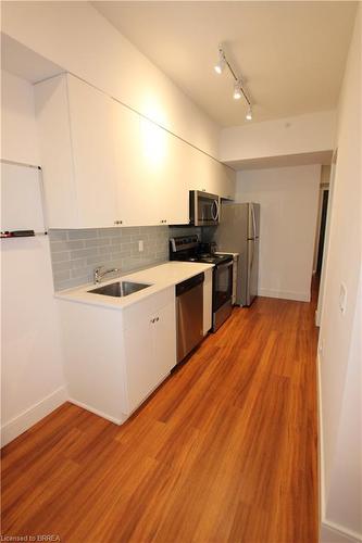 402-1 Wellington Street, Brantford, ON - Indoor Photo Showing Kitchen