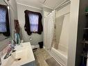 27 Alfred Street, Brantford, ON  - Indoor Photo Showing Bathroom 