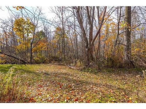 319 Cockshutt Road, Brantford, ON - Outdoor With View