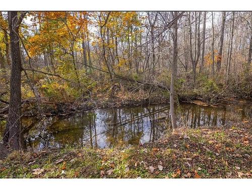 319 Cockshutt Road, Brantford, ON - Outdoor With View