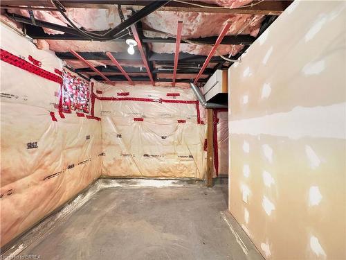 30 Salisbury Avenue, Brantford, ON - Indoor Photo Showing Basement