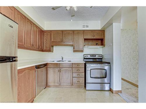 202-164 Paris Road, Brantford, ON - Indoor Photo Showing Kitchen With Double Sink