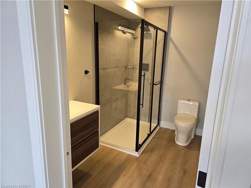 241 Darling Street, Brantford, ON 