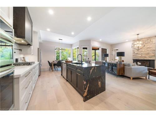 163 Parkside Drive, Brantford, ON - Indoor Photo Showing Kitchen With Upgraded Kitchen