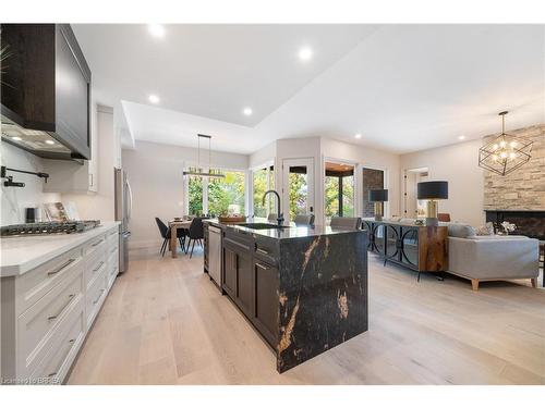 163 Parkside Drive, Brantford, ON - Indoor Photo Showing Kitchen With Upgraded Kitchen