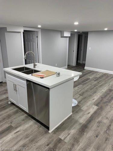 161 Dundas Street, Brantford, ON - Indoor Photo Showing Kitchen With Double Sink