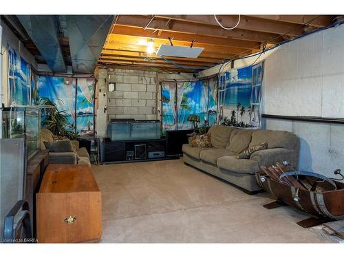 6 Bannister Street, Oakland, ON - Indoor Photo Showing Basement