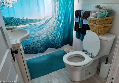 60 Lynnwood Avenue, Simcoe, ON - Indoor Photo Showing Bathroom