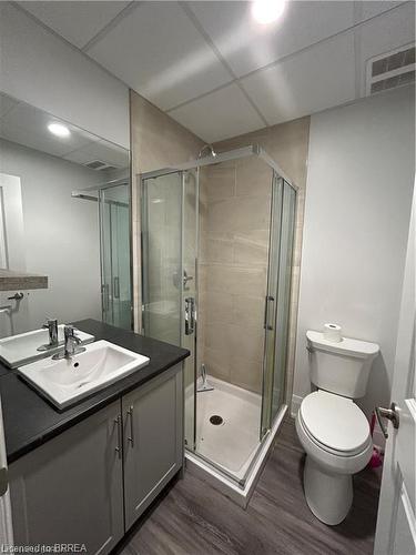206-11 Queen Street, Brantford, ON - Indoor Photo Showing Bathroom