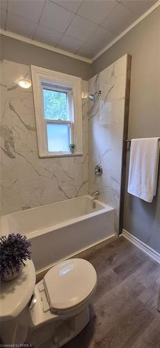 39 Park Avenue, Brantford, ON - Indoor Photo Showing Bathroom