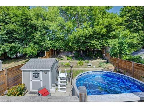 81 Strathcona Avenue, Brantford, ON - Outdoor With Above Ground Pool