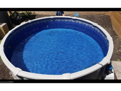 81 Strathcona Avenue, Brantford, ON - Outdoor With Above Ground Pool