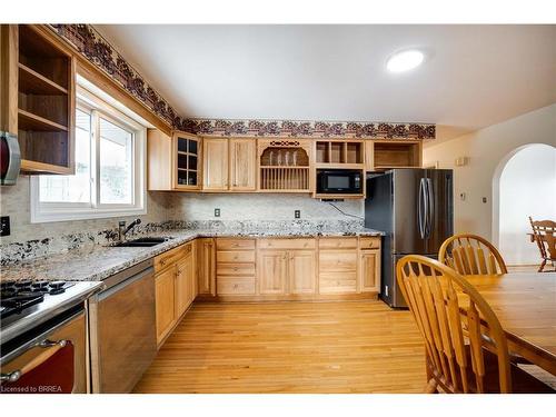 133 Burwell Street, Brantford, ON - Indoor Photo Showing Kitchen With Double Sink