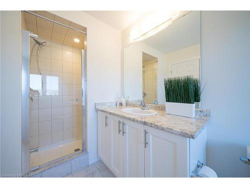 196 Wilmot Road, Brantford, ON - Indoor Photo Showing Bathroom