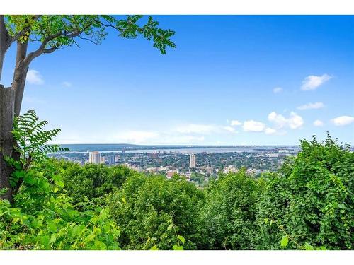 47 Mountain Park Avenue, Hamilton, ON - Outdoor With Body Of Water With View