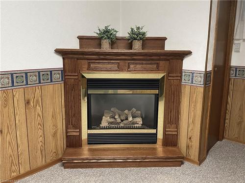 41 Dunsdon Street, Brantford, ON - Indoor With Fireplace