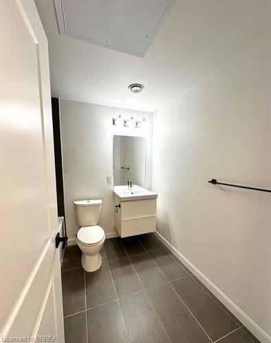 813-7 Erie Avenue, Brantford, ON - Indoor Photo Showing Bathroom