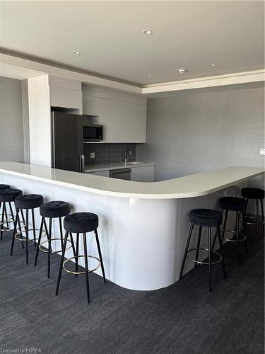 813-7 Erie Avenue, Brantford, ON - Indoor Photo Showing Kitchen