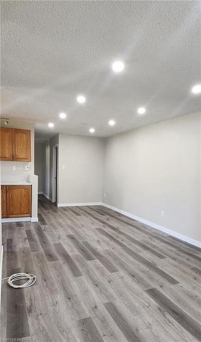 25 Sheldon Street, Brantford, ON - Indoor Photo Showing Other Room